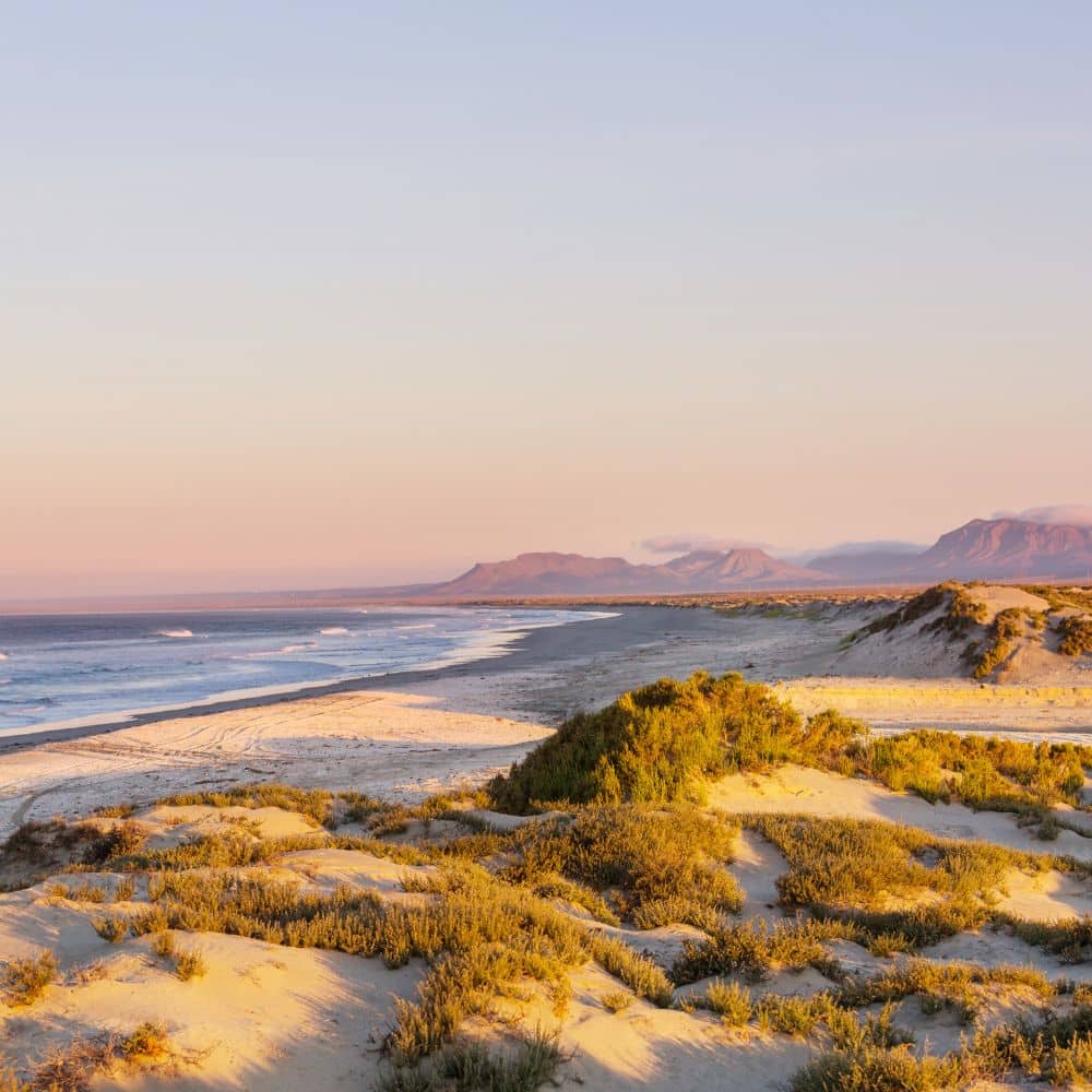 Baja California Coast